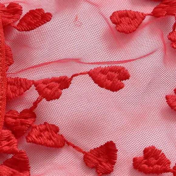 Embroidered Mesh Underwire Lingerie Set - Picture 5 of 7